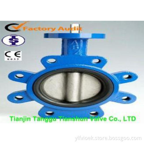 Cast Iron EPDM Ruuber Lined Concentric Wafer Lug Type Butte